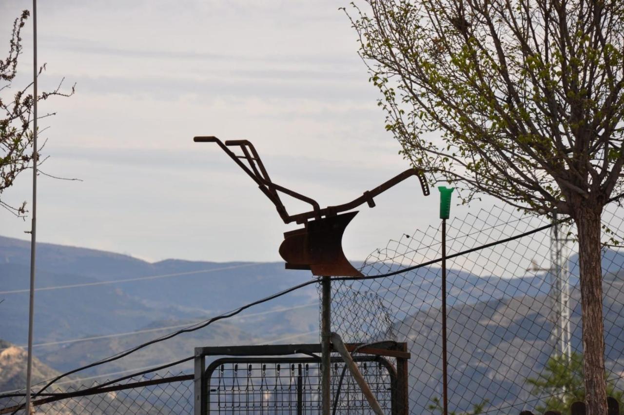 Séjour à la campagne Casa Cueva El Almendro Pegalajar