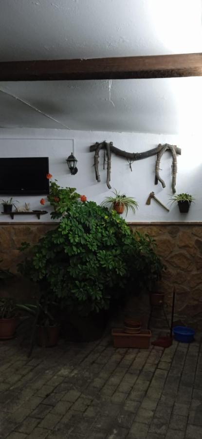Casa Cueva El Almendro * Pegalajar