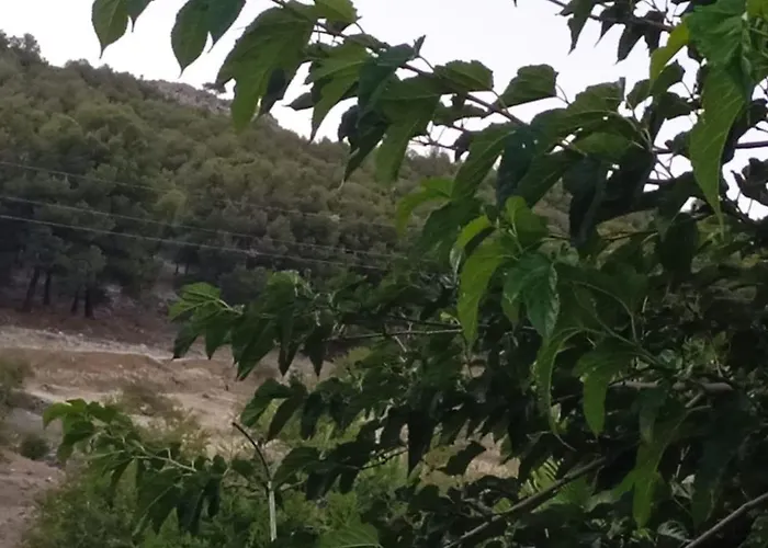 Casa Cueva El Almendro