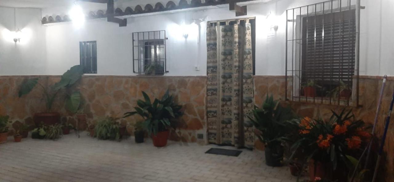 Casa Cueva El Almendro *