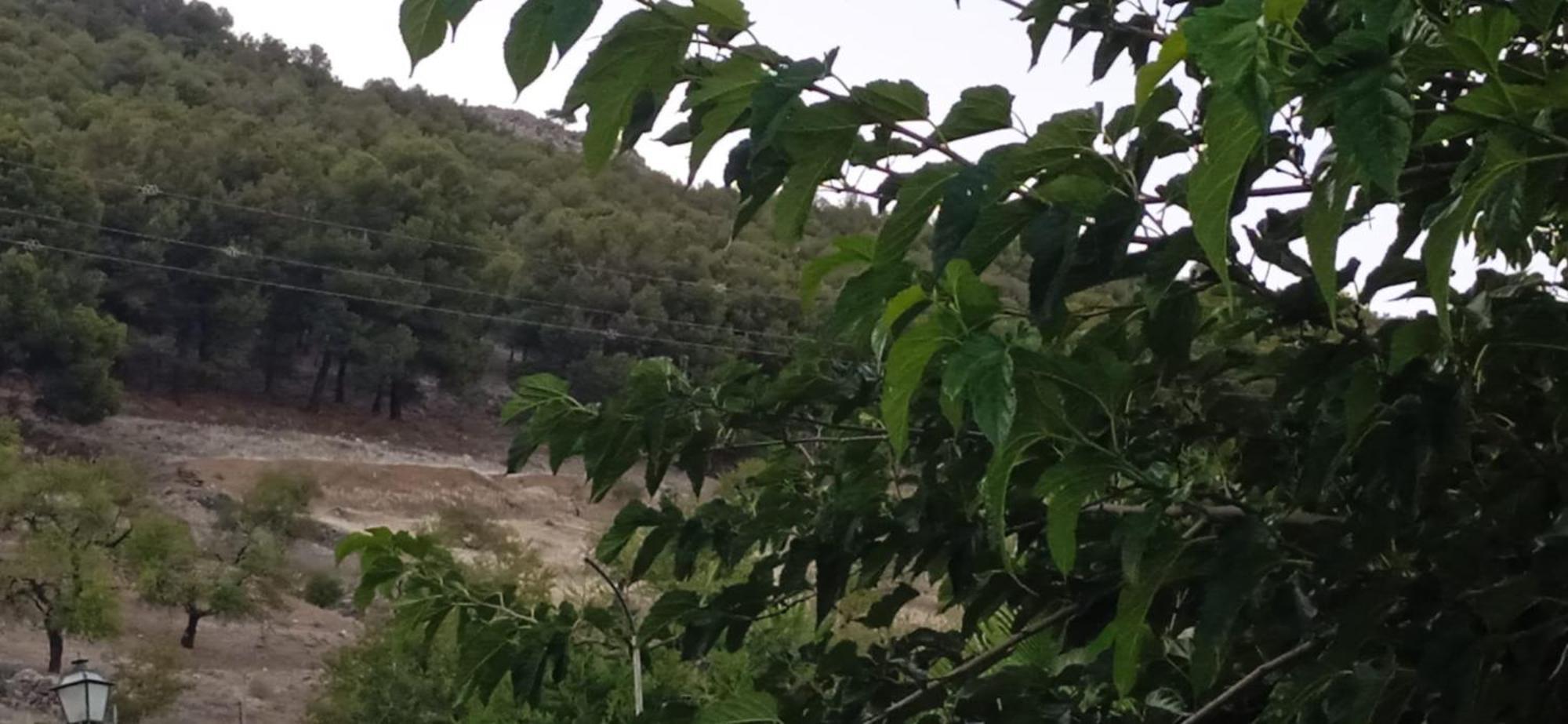 Casa Cueva El Almendro Country house *